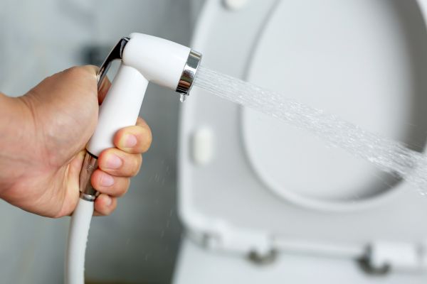 Bidet Installation in Madera
