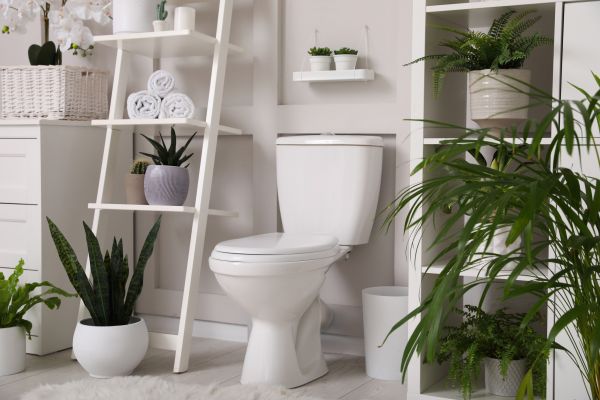Cost of Toilet Repair in Madera