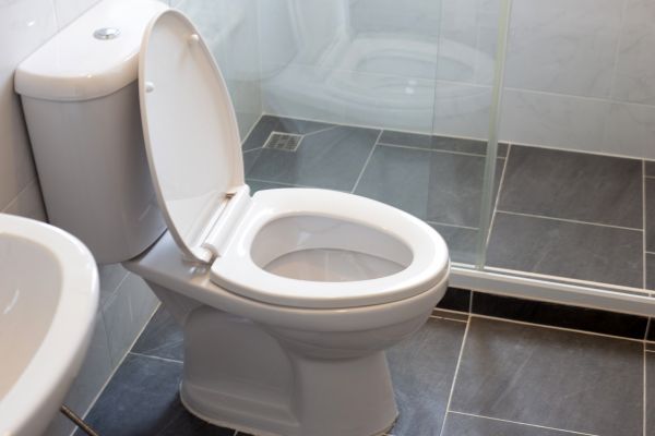 Toilet Replacement in Madera