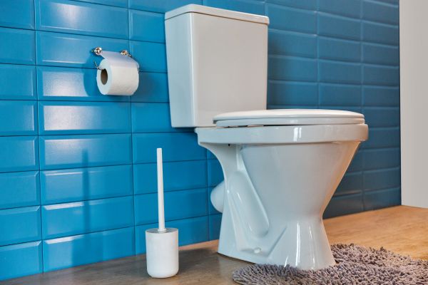 Cost of Toilet Tank Repair in Madera