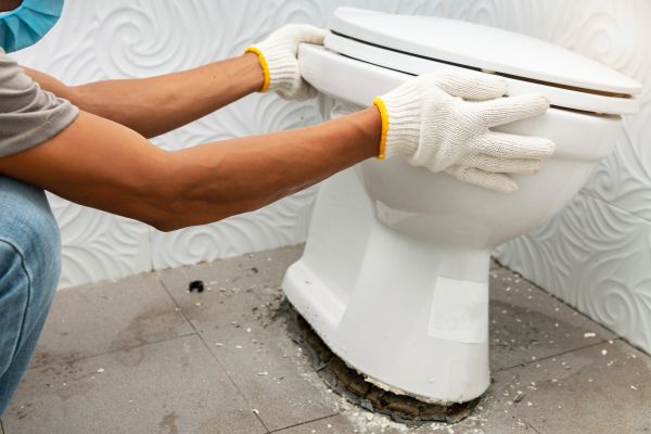 Cost of Toilet Removal in Madera