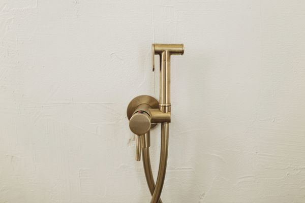 Bidet Plumbing in Madera