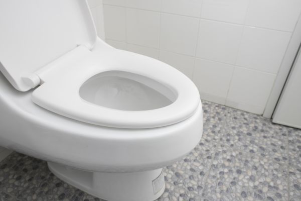 New Toilet Installation in Madera